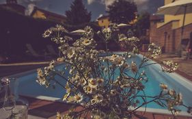 Agriturismo I Suri Asti